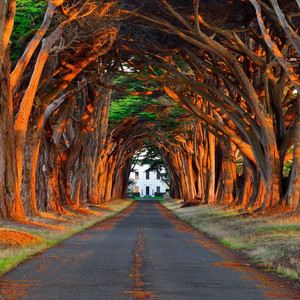 动漫美女全裸大胸被捅屁股
