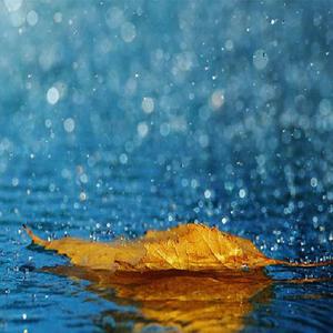 动漫美女全裸大胸被捅屁股
